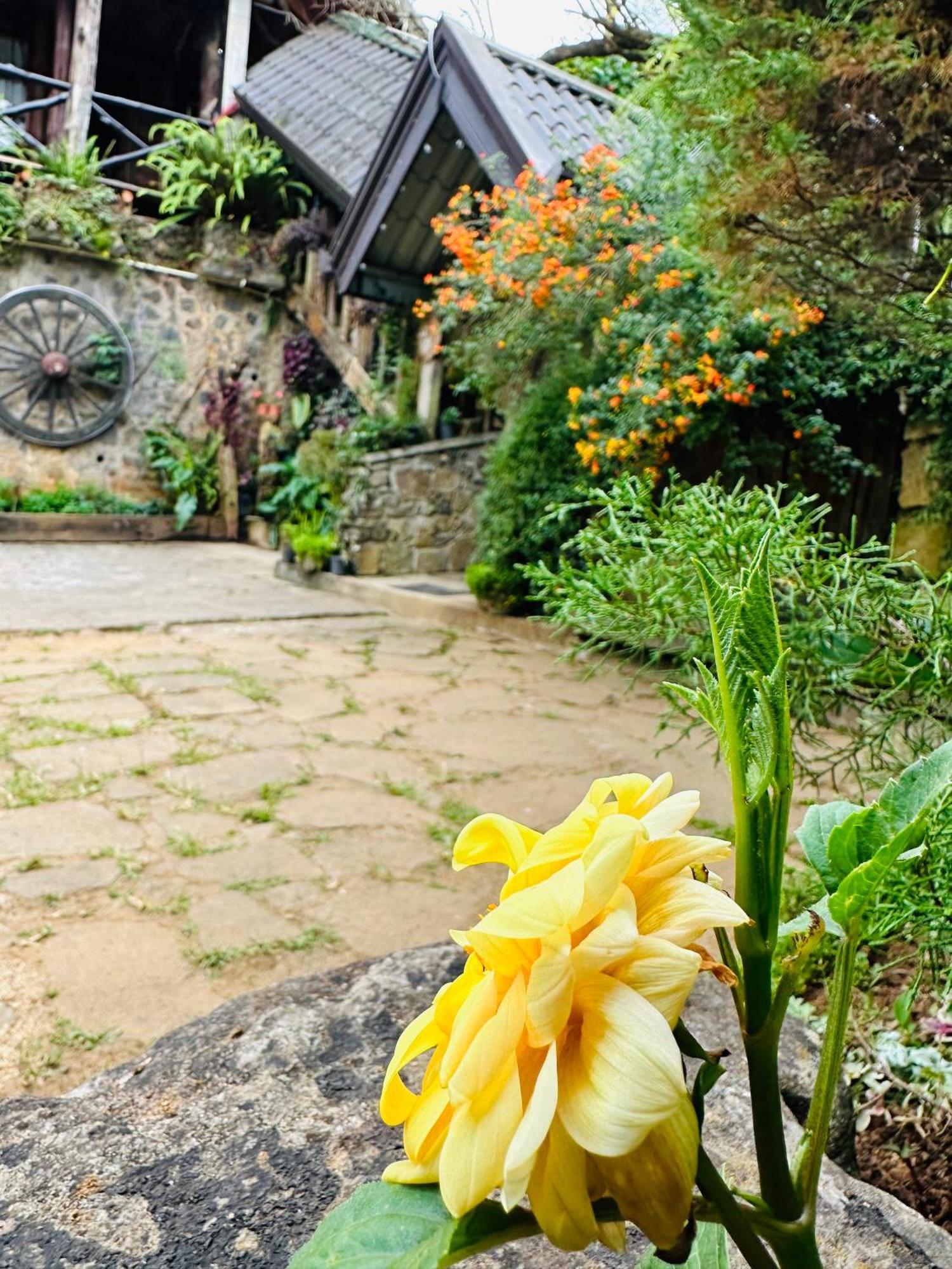 Villa 47 Nuwaraeliya Нувара Елия Екстериор снимка