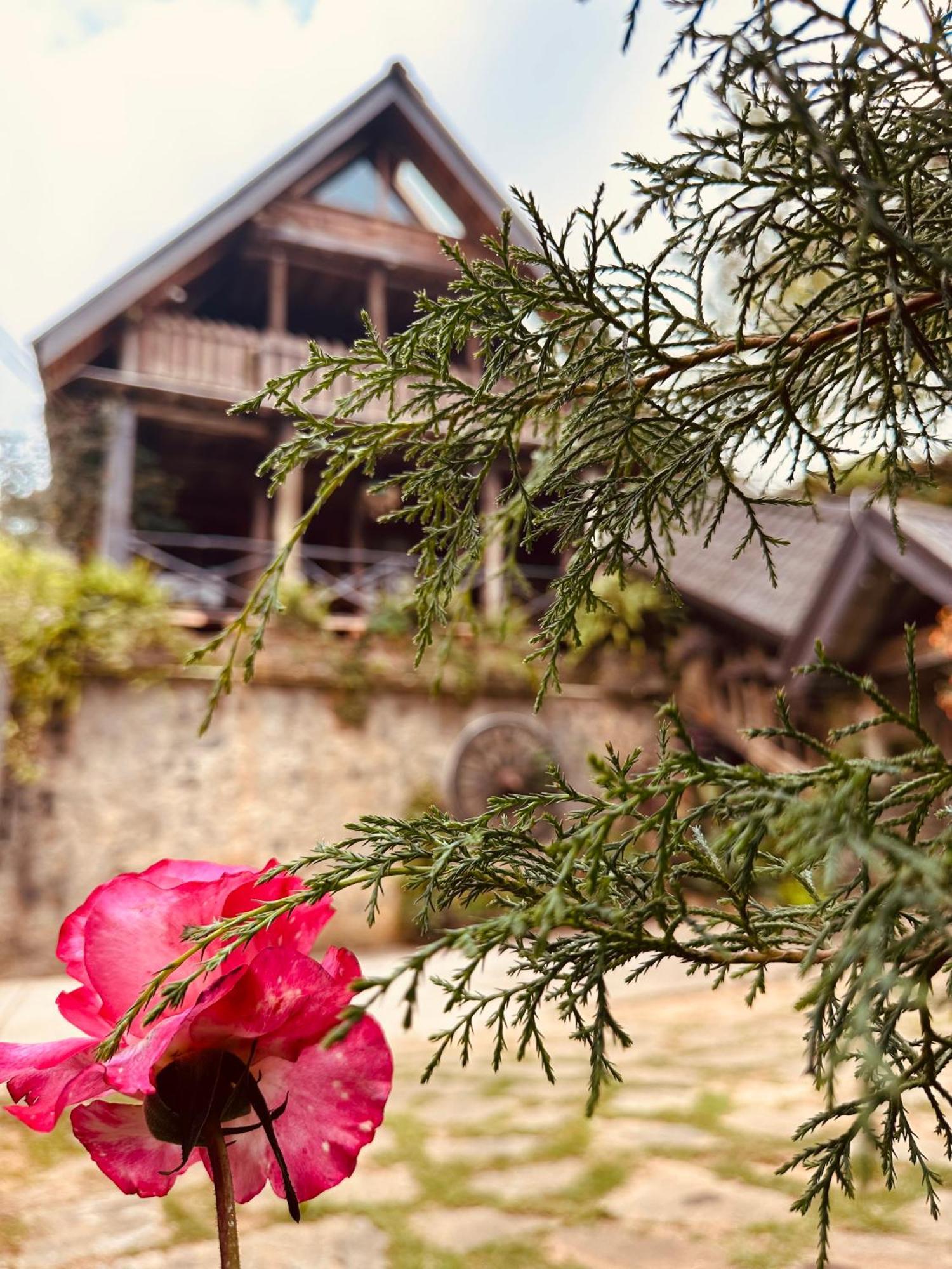 Villa 47 Nuwaraeliya Нувара Елия Екстериор снимка
