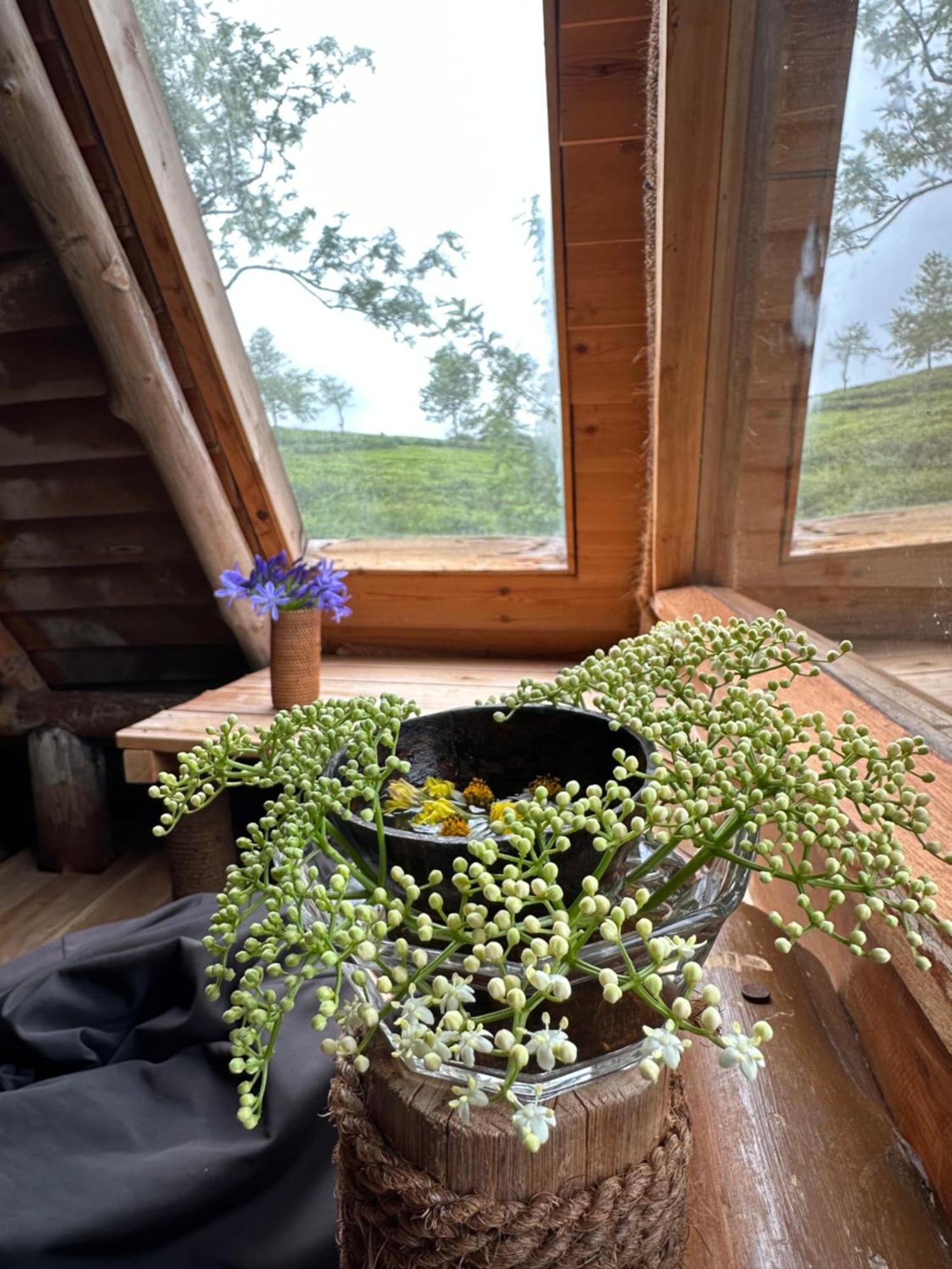 Villa 47 Nuwaraeliya Нувара Елия Екстериор снимка